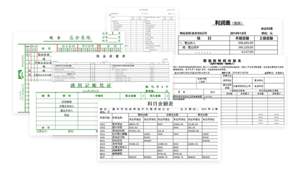 光明记账报税后所获得的资料