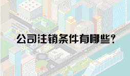 公司注册后到了什么地步才能允许公司注销