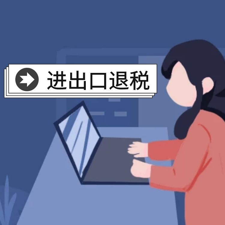 进出口报税.jpg