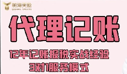 外资企业可以找代理记账报税公司吗？