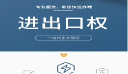 进出口权申请办理流程：简单易懂的指南