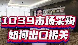 跨境电商落地 1039 模式 账务税务收汇一体化服务 跨境电商落地 1039 模式 账务税务收汇一体化服务