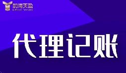 中大型企业财税托管 一般纳税人记账报税专项服务